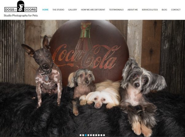DogsINDoors WordPress Website